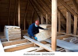 Best Insulation Air Sealing  in Carrizo Hill, TX